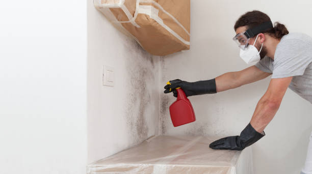 Professional Commercial Mold Remediation technician working in Waban, MA